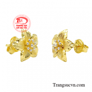 Đôi hoa tai này hiện đang là dòng sản phẩm có mức giá phải chăng và được nhiều các chị em phụ nữ yêu thích.
