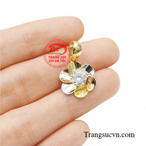 Giao hàng toàn quốc 