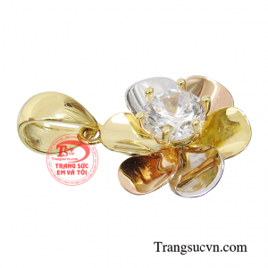 Đây sẽ là món quà ý nghĩa dành tặng người thân và bạn bè