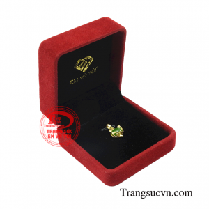 Thanh toán an toàn