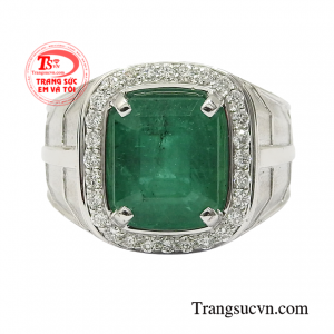 Emerald hay còn gọi là ngọc lục bảo là viên đá biểu tượng của niềm tin, sự lạc quan, bình an và may mắn, là lá bùa hộ mệnh cho mỗi người.