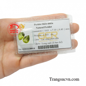 Sản phẩm phù hợp gắn lên hoa tai giúp phái đẹp thêm tự tin, nổi bật