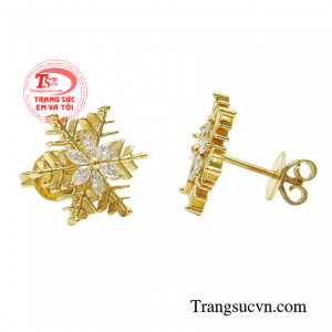 Đôi hoa tai kim cương cao cấp đảm bảo chất lượng sản phẩm.