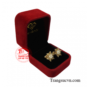 Hoa tai kim cương quý phái bảo hành uy tín.