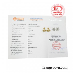 Hoa tai kim cương quý phái tinh tế.