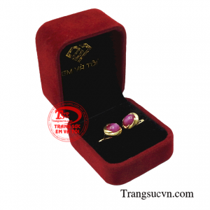 Giao hàng toàn quốc 