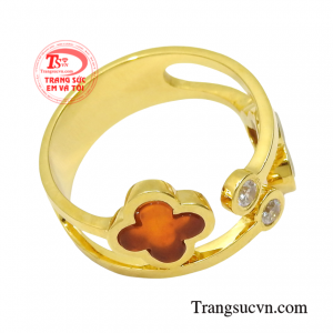 Sản phẩm sẽ là món quà tặng tinh tế dành cho người thân và bạn bè.