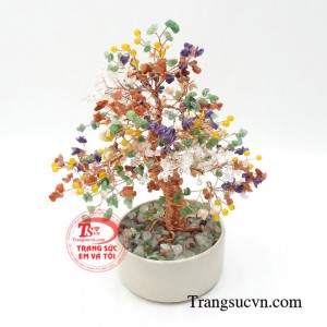 Cây đá quý hợp mệnh giao hàng tận nơi, thanh toán an toàn.