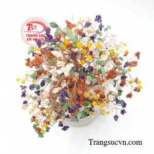 Cây đá quý sắc màu