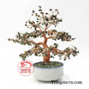 Loại đá này mang trong mình rất nhiều dương khí nên cây đá phong thuỷ còn giúp cho gia chủ có một đầu óc luôn minh mẫn, sáng suốt giúp người sở hữu gặp nhiều may mắn trong công việc và cuộc sống.