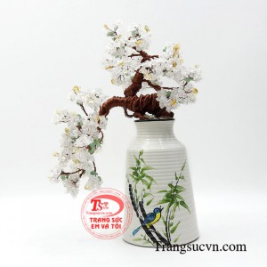 Cây phong thủy hoa mai trắng kiểu dáng bắt mắt hiện đang là mẫu sản phẩm được rất nhiều khách hàng ưa chuộng.