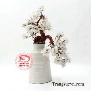 Sản phẩm thường được trưng bày phòng khách, cửa hàng hay bàn trên làm việc giúp chiêu tài lộc cho người sở hữu.