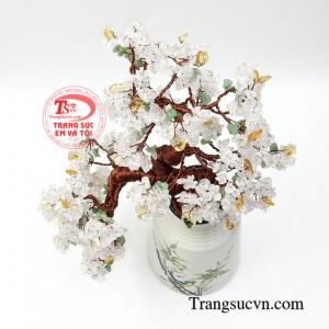 Cây đá quý này sẽ phù hợp cho người mệnh kim và thủy.