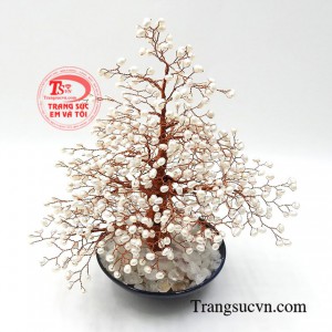 Từ xa xưa ngọc trai vẫn luôn được giới quý tộc vô cùng ưa chuộng.