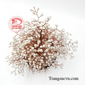 Cây ngọc trai được chế tác kiểu dáng đẹp mắt là một trong số sản phẩm bán chạy nhất hiện nay.