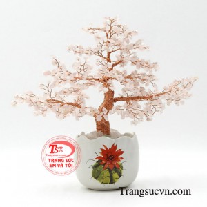 Cây thạch anh hồng may mắn thiên nhiên chất lượng cao, kiểu dáng độc đáo.