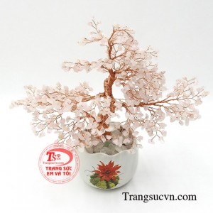 Sản phẩm được lấy cảm hứng từ những cây hoa anh đào mang sắc xuân đến cho người sở hữu.