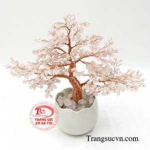 Đây có lẽ sẽ là món quà ý nghĩa để dành tặng vào những dịp như tân gia, khai trương.