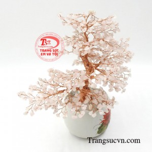Cây đá quý này là đồ trang trí vừa có ý nghĩa phong thủy, thường được trưng bày phòng khách, cửa hàng, bàn làm việc.