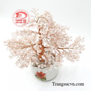 Cây thạch anh hồng may mắn
