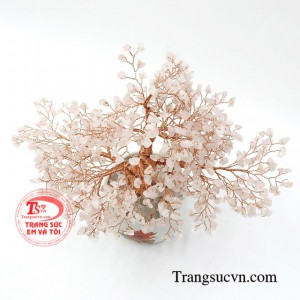 Cây thạch anh hồng may mắn chất lượng.