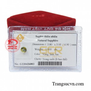 Viên sapphire với màu sắc tươi sáng thường được gắn lên trang sức đeo sang trọng, thời trang