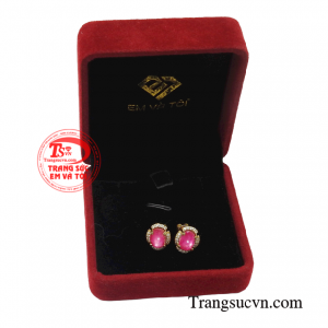 Giao hàng toàn quốc 