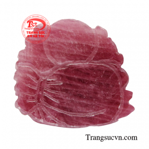 Giao hàng toàn quốc 