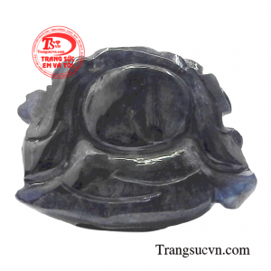 Giao hàng toàn quốc 