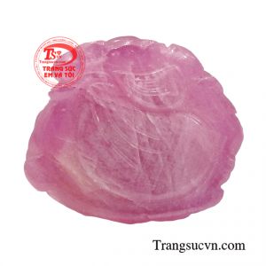 Giao hàng toàn quốc 