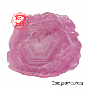 Giao hàng toàn quốc