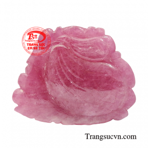 Giao hàng toàn quốc 