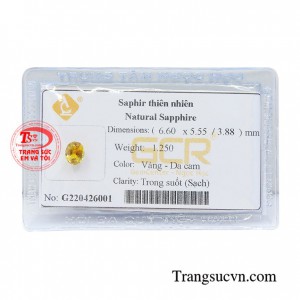 Sapphire vàng ép vỉ thịnh vượng màu sắc đẹp, chất lượng đá đảm bảo