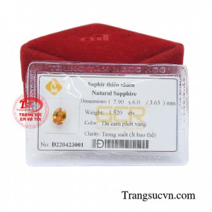 Sản phẩm sẽ thật sang trọng khi gắn trang sức vàng giúp người đeo tôn lên nét sang trọng và thời trang