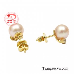 Sản phẩm sẽ là món quà ý nghĩa để dành tặng cho người thân và bạn bè.