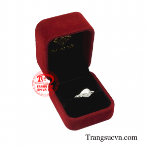 Giao hàng toàn quốc