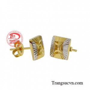 Hoa tai đẹp ấn tượng là sự lựa chọn hoàn hảo dành cho những bạn nữ thích thiết kế đơn giản mà không kém phần sang trọng