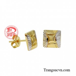 Hoa tai đẹp ấn tượng là sự lựa chọn hoàn hảo dành cho những bạn nữ thích thiết kế đơn giản mà không kém phần sang trọng