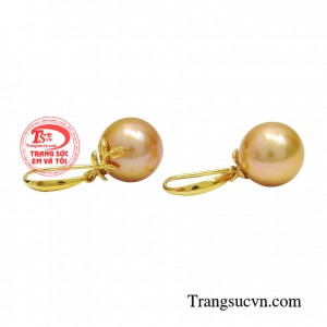 Ngọc trai tượng trưng cho vẻ đẹp hoàn hảo thuần khiết chính vì thể mỗi cô gài đều nên có cho mình một đôi hoa tai ngọc trai