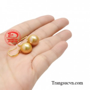 Ngọc trai tượng trưng cho vẻ đẹp hoàn hảo thuần khiết chính vì thể mỗi cô gài đều nên có cho mình một đôi hoa tai ngọc trai