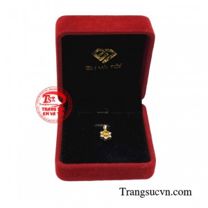 Giao hàng toàn quốc 