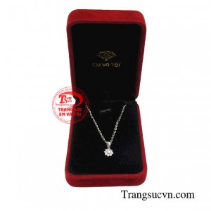 Giao hàng toàn quốc