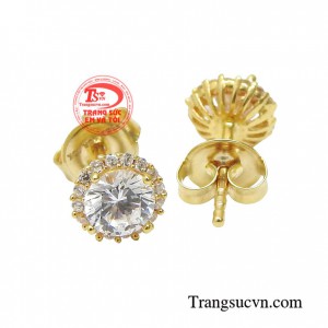 Hoa tai nữ hợp thời trang được nhiều người ưa chuộng