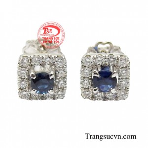 Hoa tai sapphire thời thượng là biểu tượng của tình yêu, hôn nhân bền vững, sự giàu có và lòng thủy chung