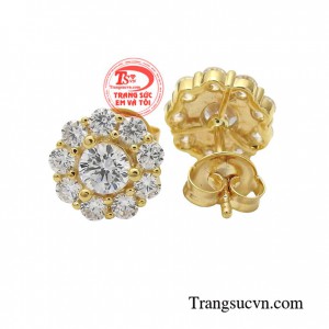 Hoa tai tỏa sáng giúp bạn thêm tỏa sáng và tự tin hơn