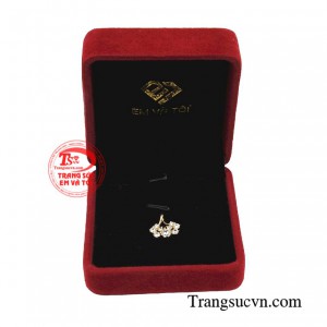 Giao hàng toàn quốc 