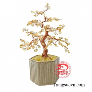 Cây thạch anh vàng thịnh vượng mang lại nhiều may mắn, thu hút tài lộc trong kinh doanh