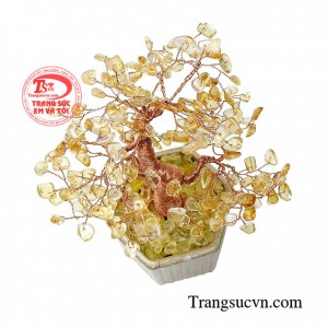 Bạn nên trưng bày chúng tại vị trí trung tâm của nhà để mang đến năng lượng, sức sống tràn trề vui vẻ cho cả gia đình