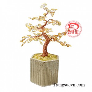 Cây thạch anh vàng thịnh vượng