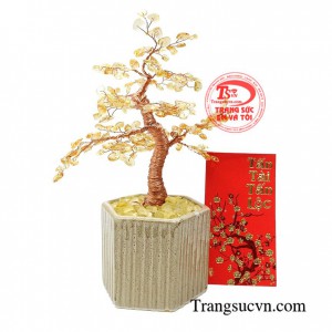 Cây thạch anh vàng thịnh vượng mang lại nhiều may mắn, thu hút tài lộc trong kinh doanh
